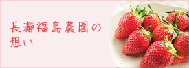 長瀞福島農園の想い